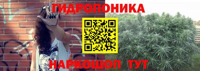скорость Гусев