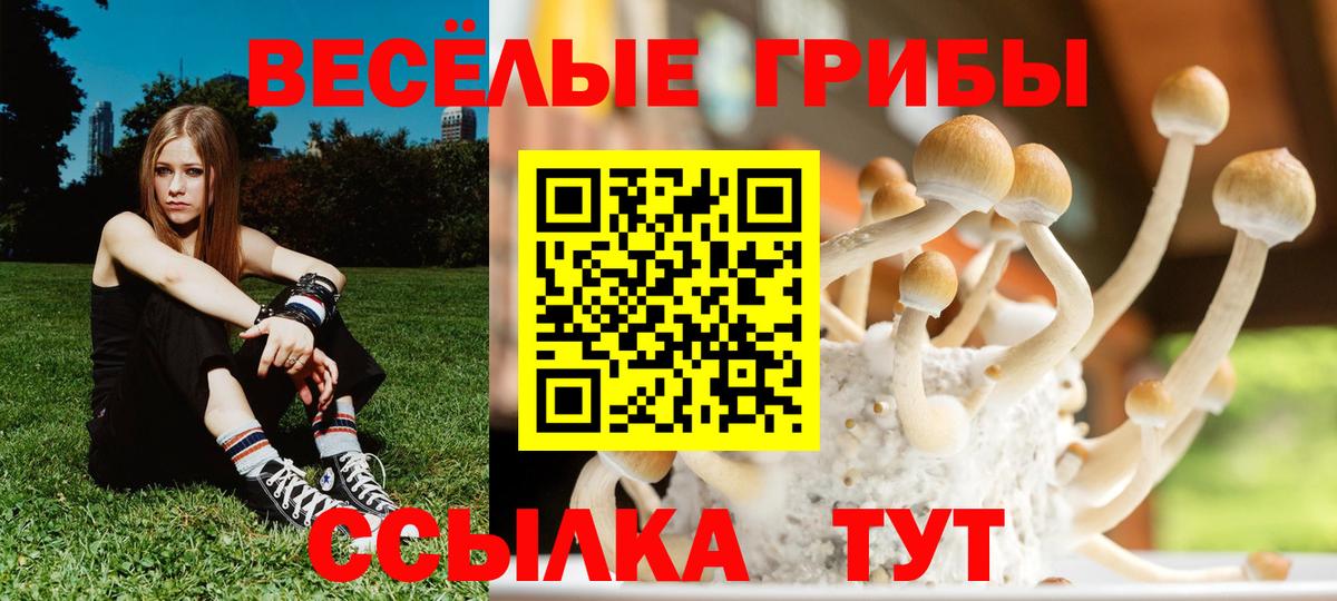 Мирный  Псилоцибиновые грибы прущие грибы  Вход с VPN 